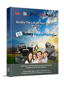 EZ Battery Reconditioning Bonus 2 