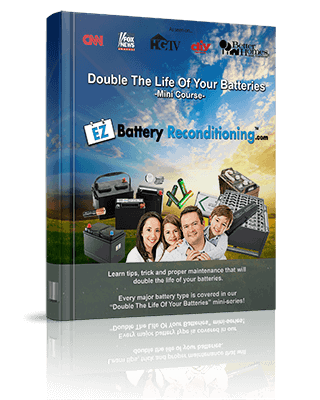 Ez Battery Reconditioning Bonus